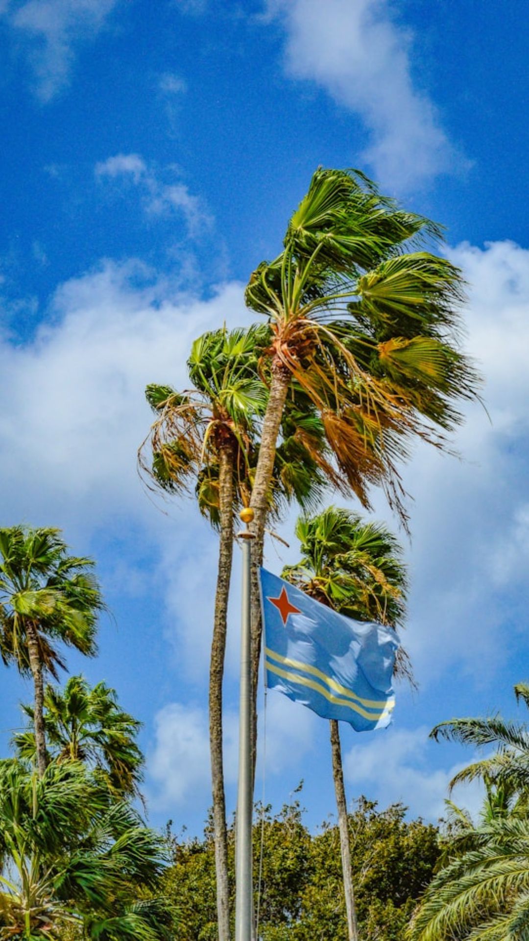 Aruba