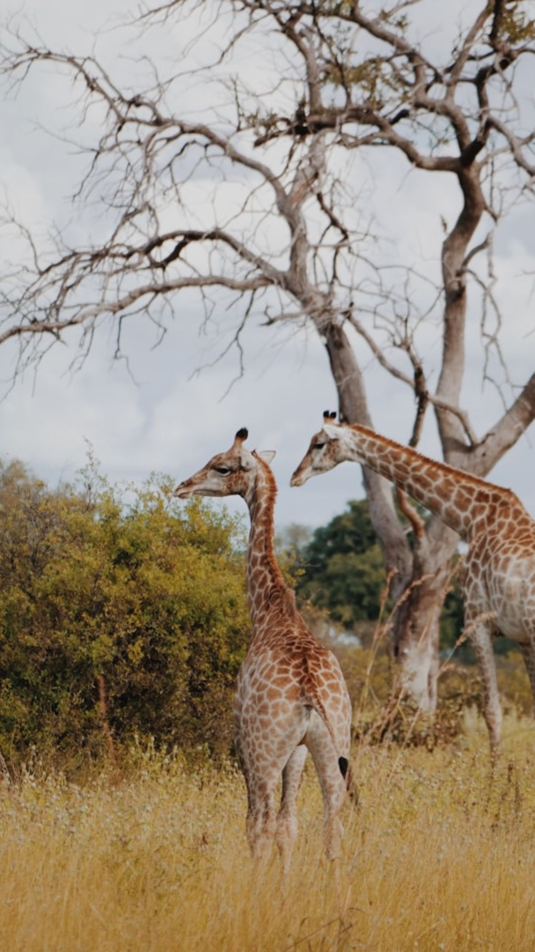 Botswana