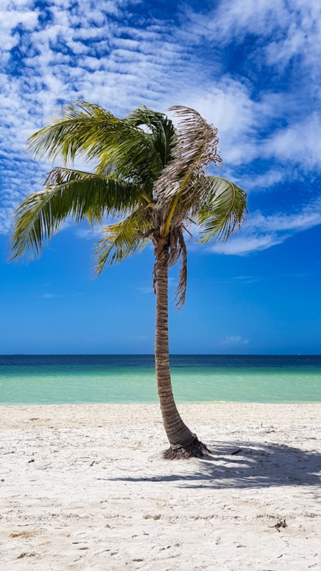 Caribbean Islands