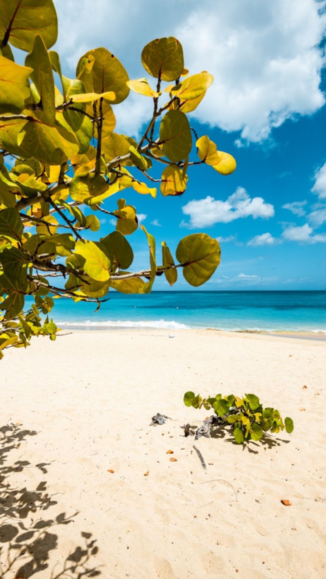Grenada