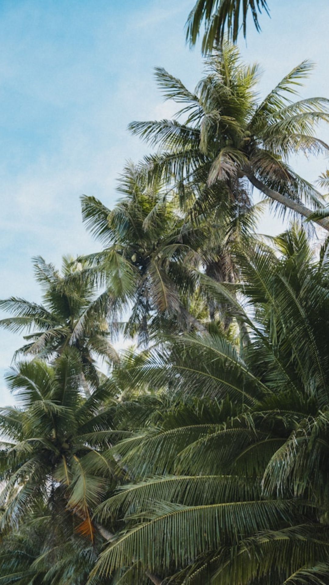 Guam