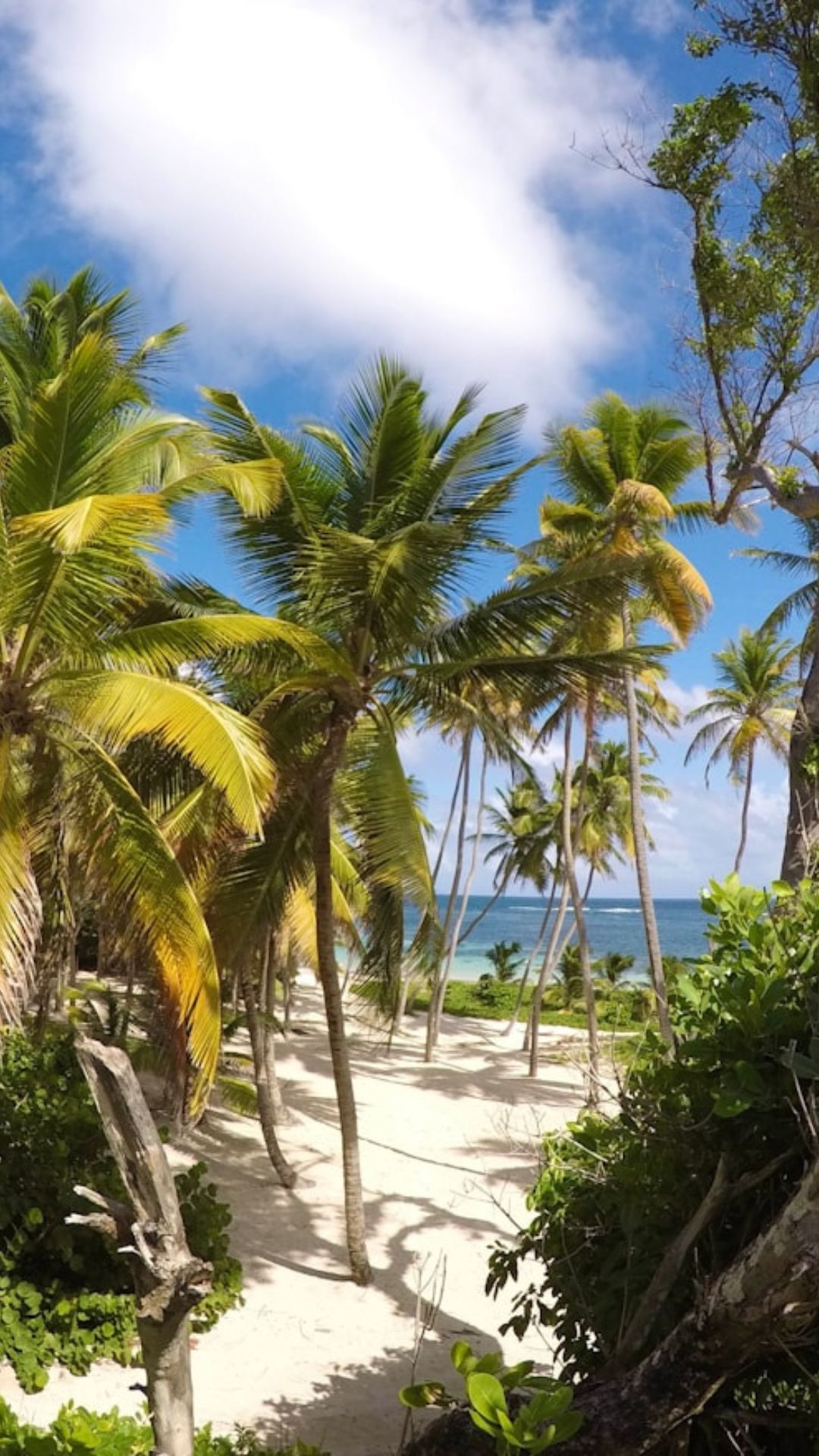 Martinique
