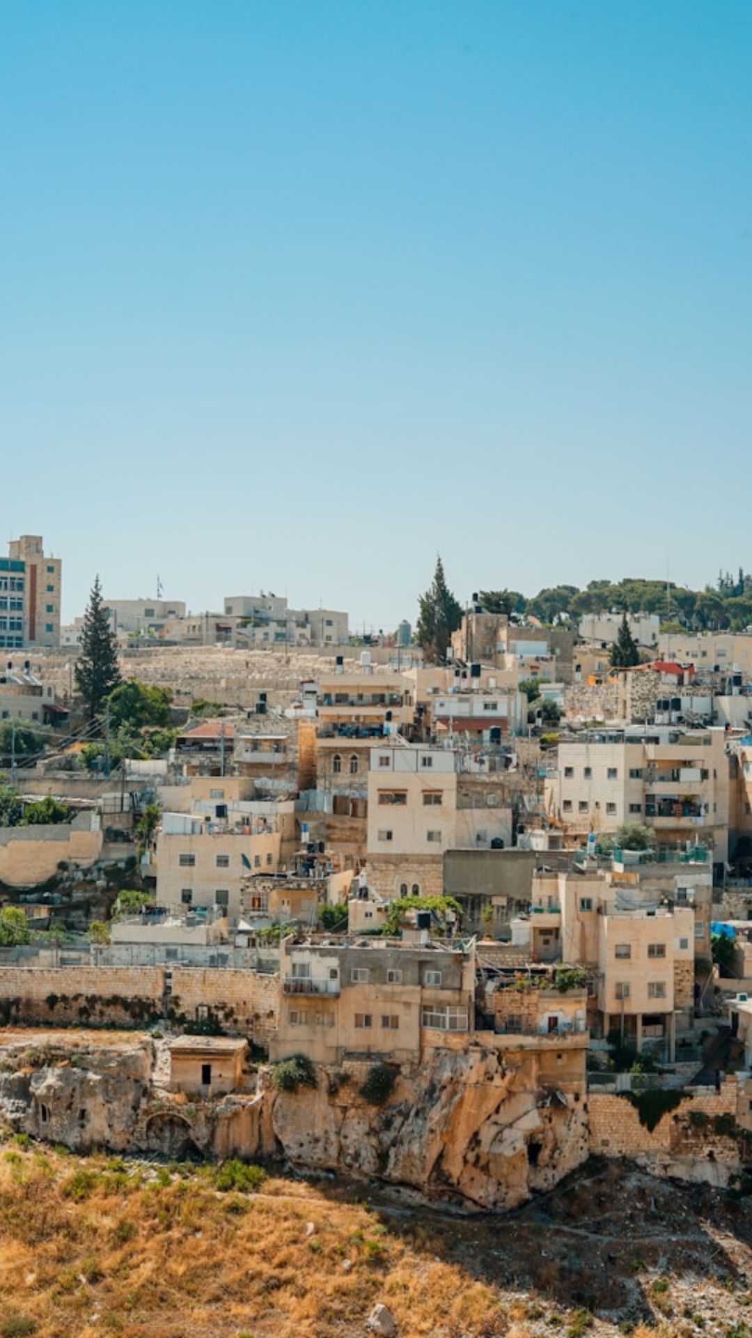 Palestine, State of