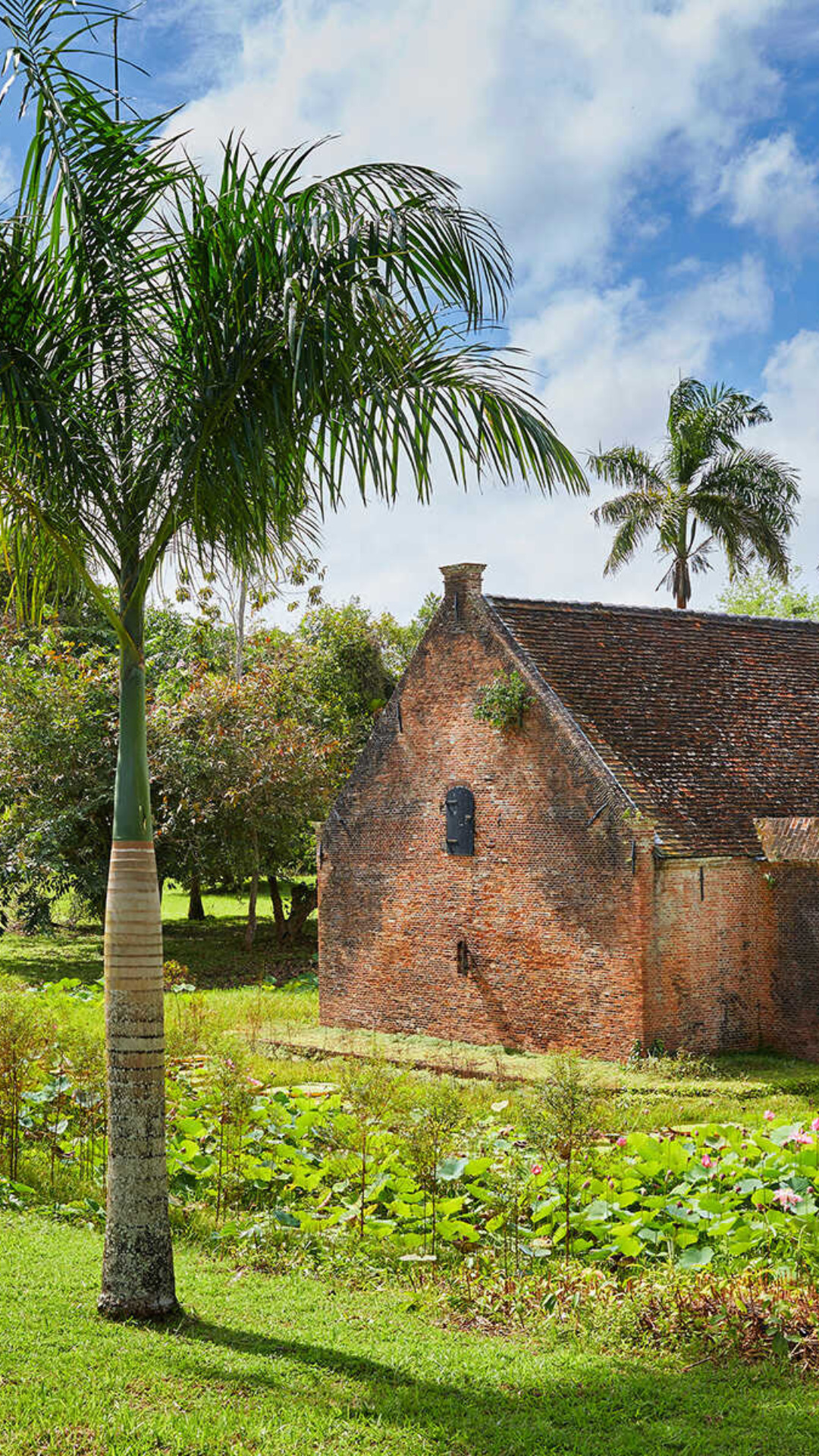 Suriname