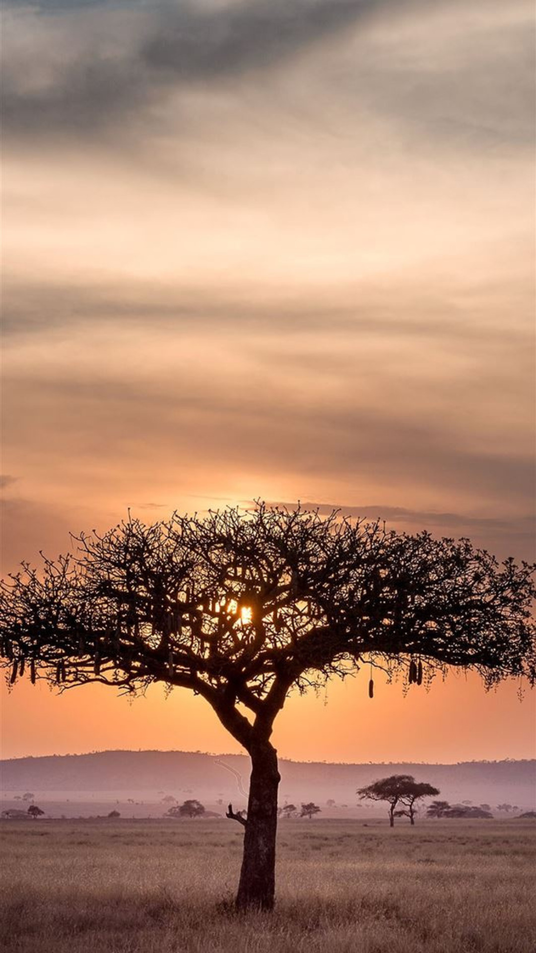 Tanzania