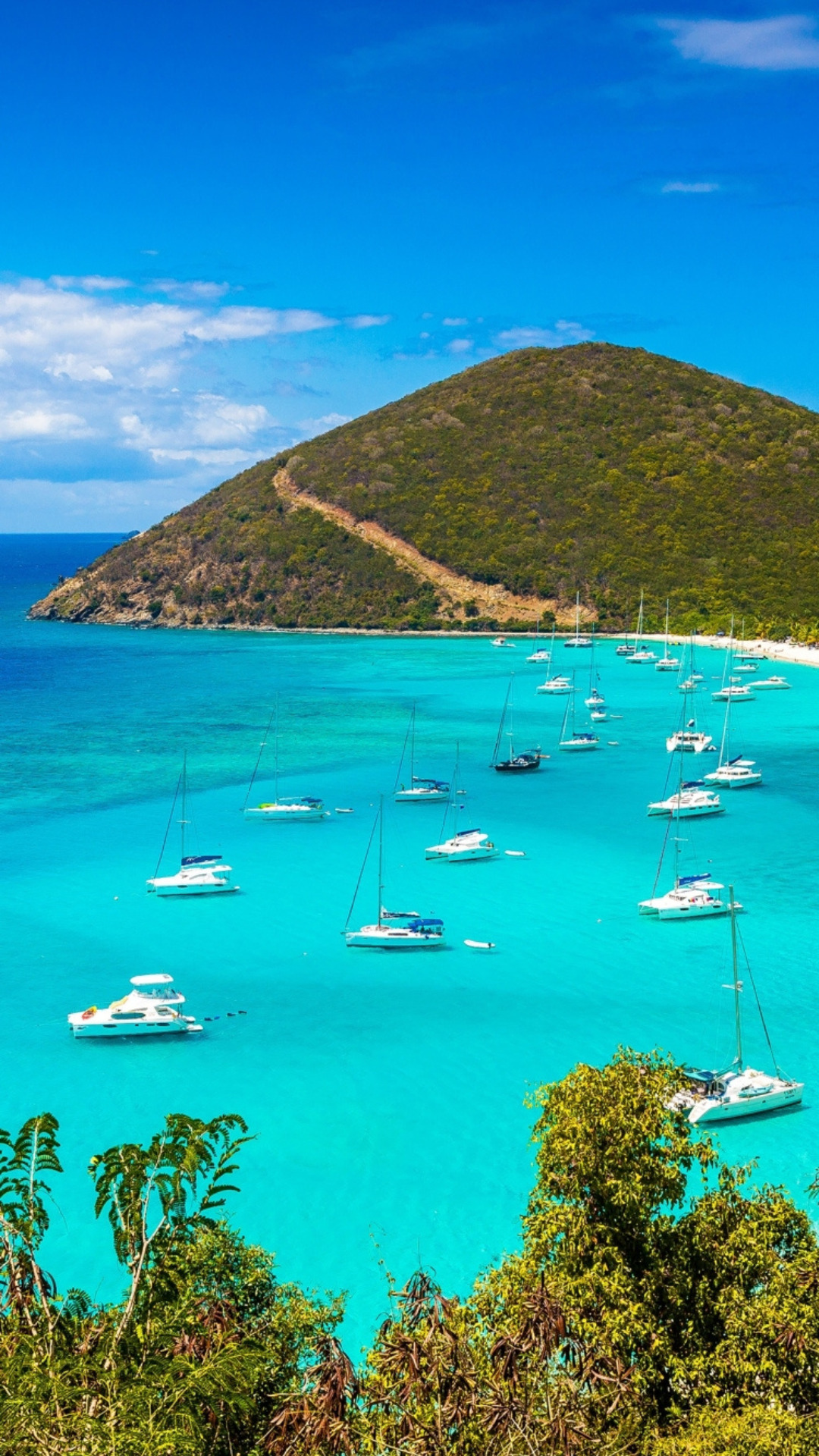 Virgin Islands (U.S.)